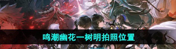 《鸣潮手游》幽花一树明拍照位置