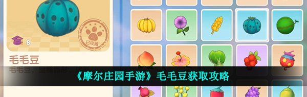 《摩尔庄园手游》毛毛豆获取攻略