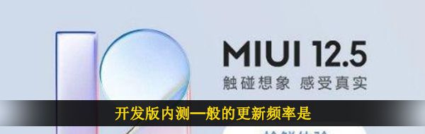 开发版内测─般的更新频率是