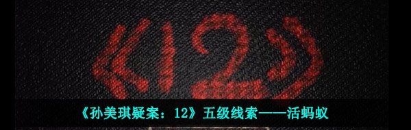 《孙美琪疑案：12》五级线索——活蚂蚁