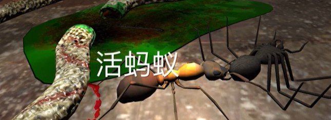 《孙美琪疑案：12》五级线索——活蚂蚁