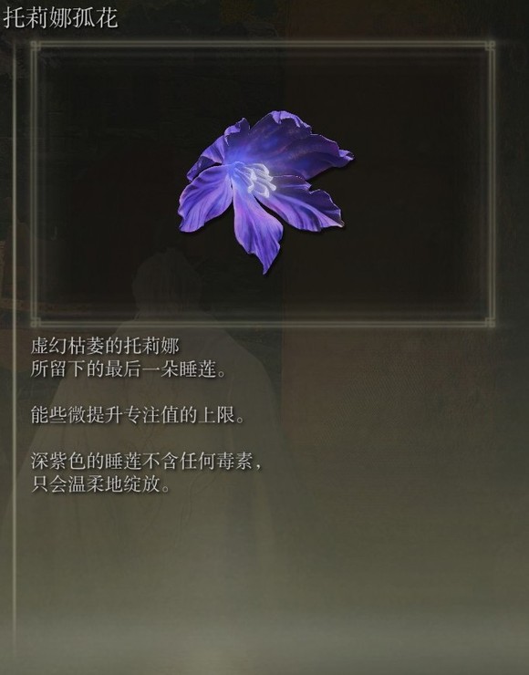 艾尔登法环dlc托莉娜孤花的获得方法-托莉娜孤花位置