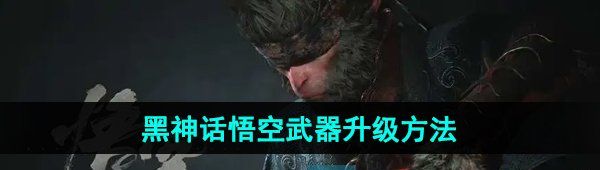 《黑神话悟空》武器升级方法