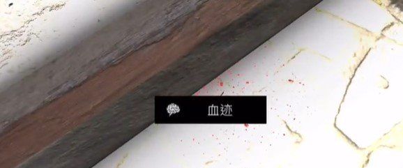 《孙美琪疑案：石门村惨案》五级线索——血迹