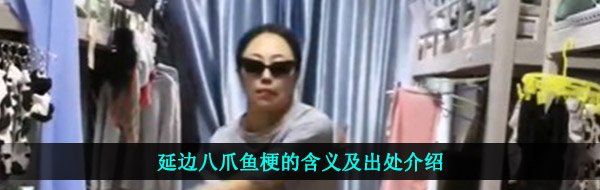延边八爪鱼梗的含义及出处介绍