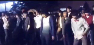 延边八爪鱼梗的含义及出处介绍