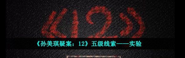 《孙美琪疑案：12》五级线索——实验