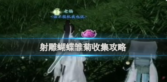 射雕蝴蝶雏菊收集攻略