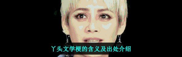 丫头文学梗的含义及出处介绍