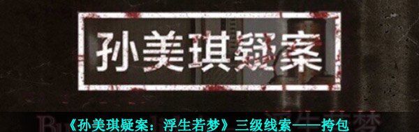 《孙美琪疑案：浮生若梦》三级线索——挎包