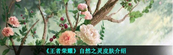 《王者荣耀》自然之灵皮肤介绍